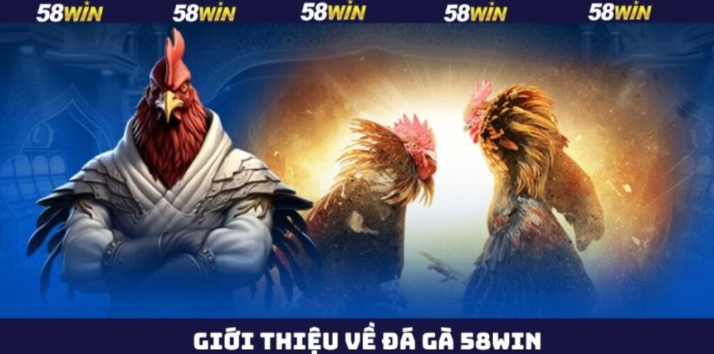 Đá Gà 58WIN - Sảnh Đấu Kê Độc Đáo Nhất Thị Trường